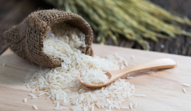 Giá lúa gạo hôm nay 27/12/2023: Không thay đổi