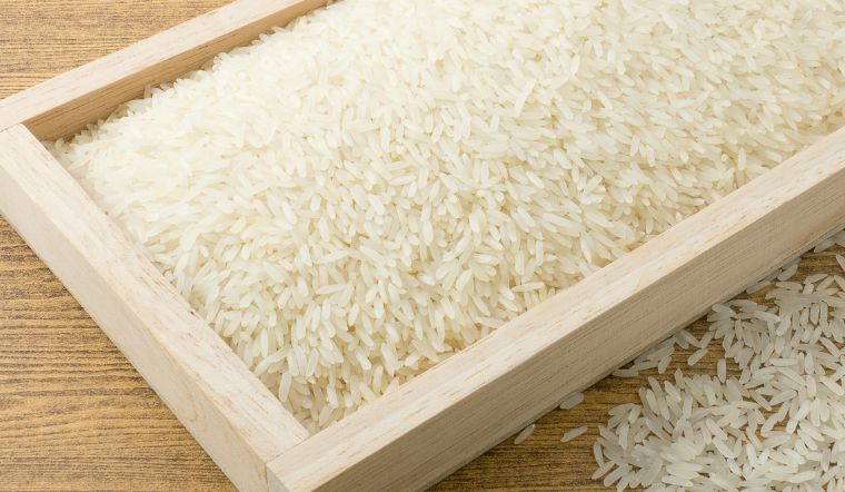 Giá lúa gạo hôm nay 28/12/2023: Tiếp tục giữ ổn định