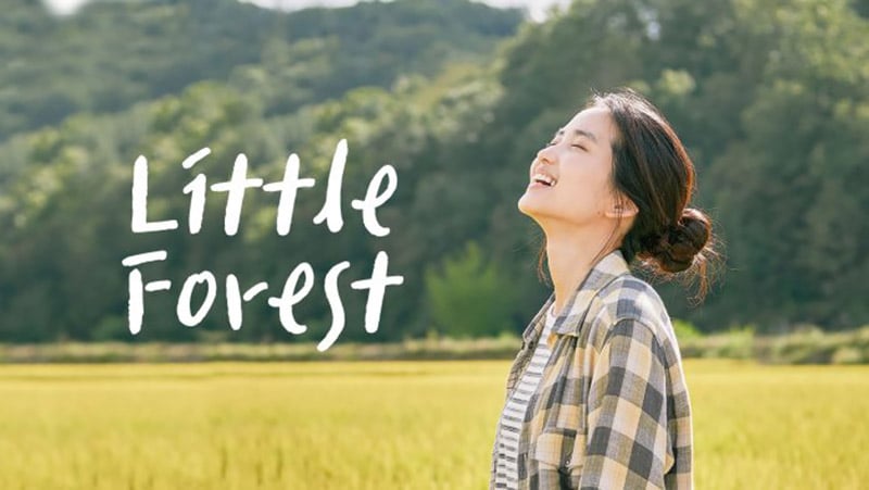 Little Forest - Cánh đồng nhỏ (2014, 2015)