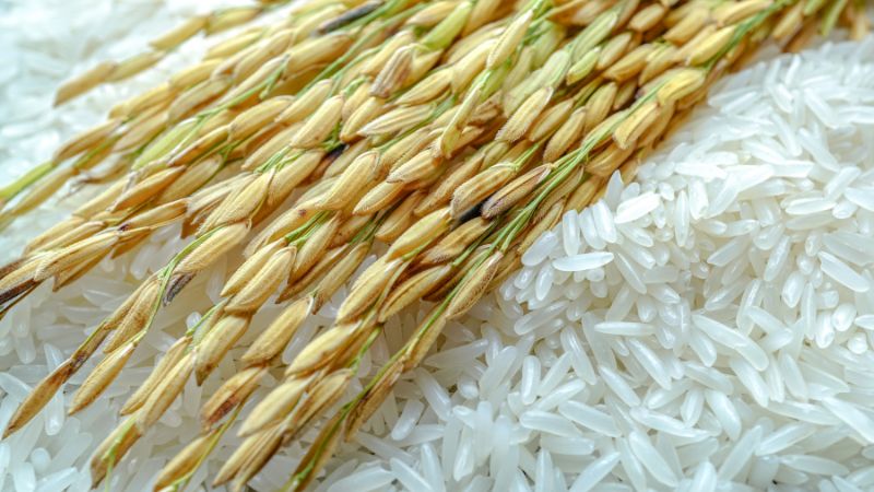 Giá gạo hôm nay 03/01