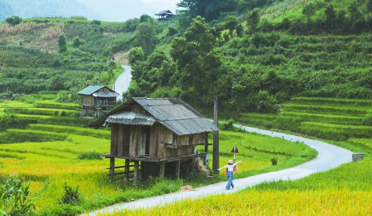 Tips 'săn' mùa lúa chín vàng ở Sa Pa cho trải nghiệm khó quên