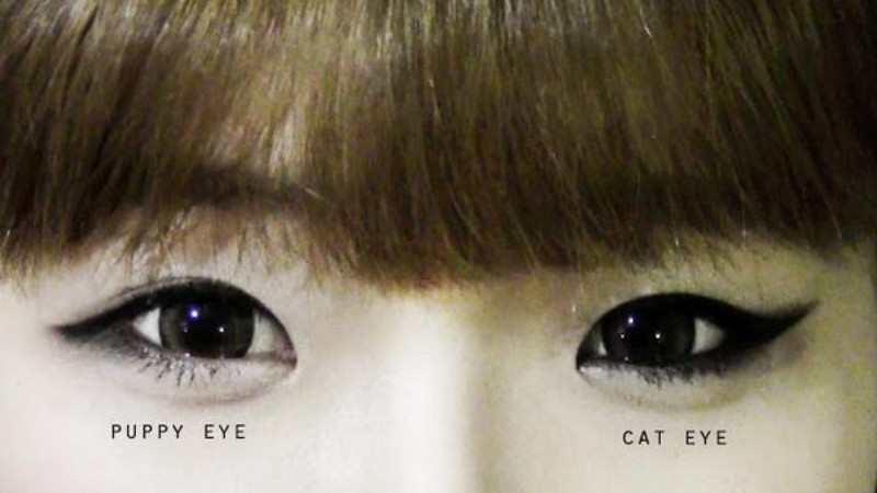 Điểm khác biệt lớn nhất giữa kẻ mắt cún con và kẻ mắt mèo là hướng kẻ