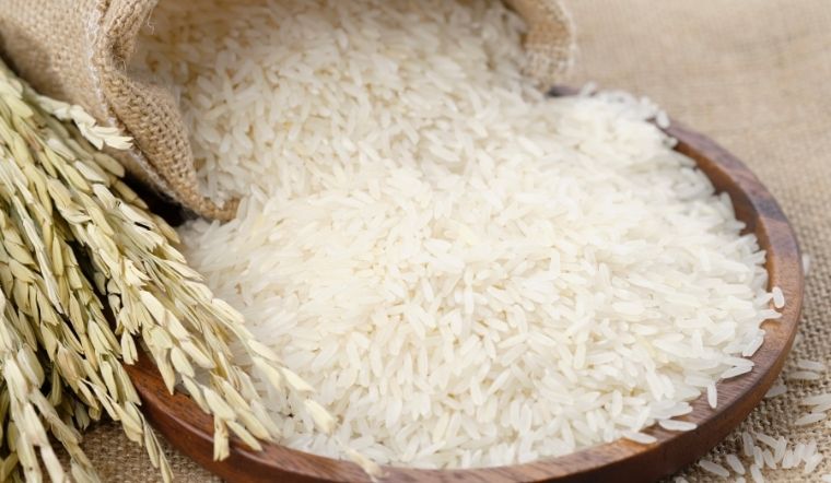 Giá lúa gạo hôm nay 11/01/2024: Lúa IR 50404 tăng 100 đồng/kg