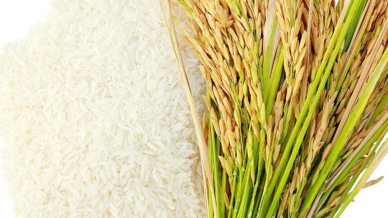 Giá gạo hôm nay 13/01