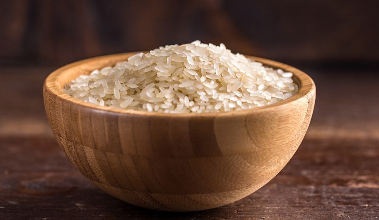 Giá lúa gạo hôm nay 15/01/2024: Đồng loạt tăng giá mạnh