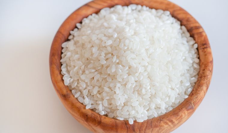 Giá lúa gạo hôm nay 18/01/2024: Hầu hết đều chững giá