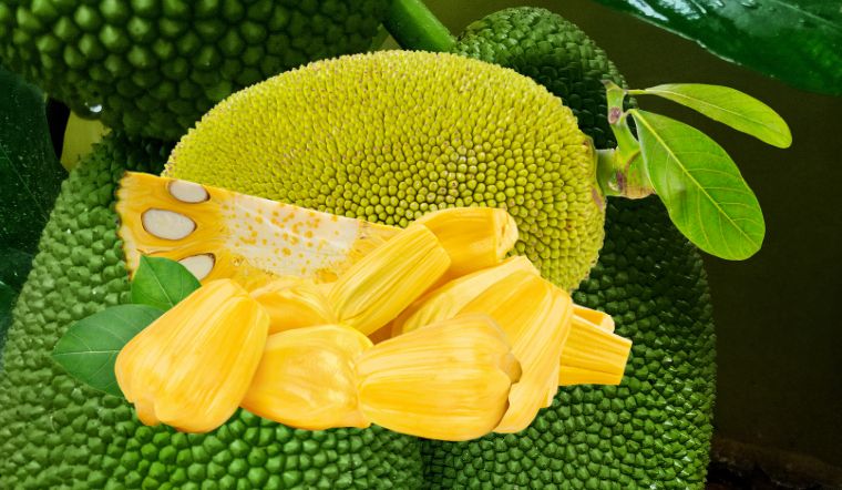 Giá mít Thái hôm nay 18/01/2024: Tiếp tục ổn định