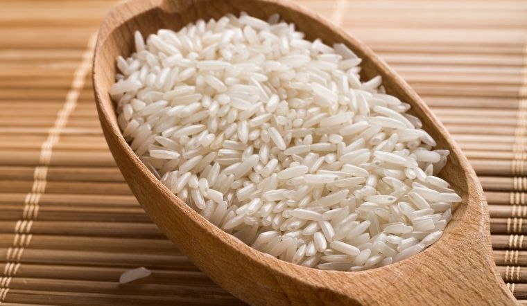 Giá lúa gạo hôm nay 19/01/2024: Tiếp tục đứng yên