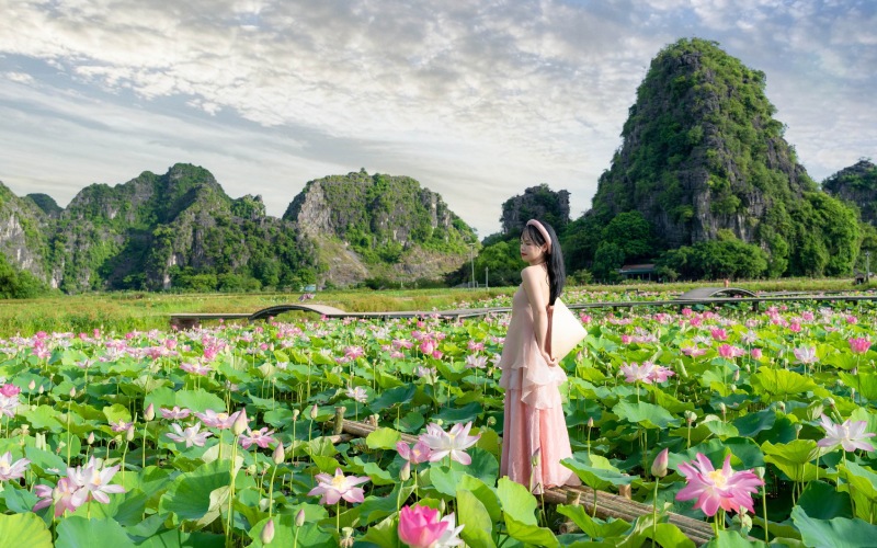 Tháng 7 - Chụp hình với sen hồng Ninh Bình