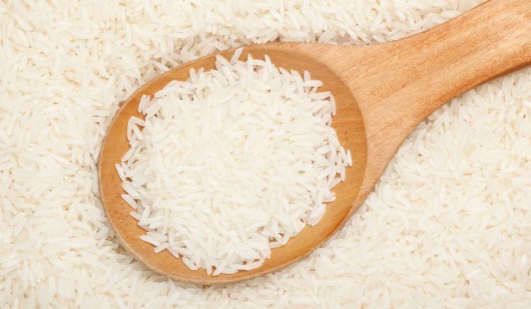 Giá lúa gạo hôm nay 24/01/2024: Điều chỉnh ở vài giống lúa