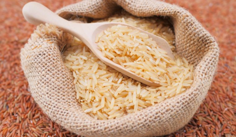 Giá lúa gạo hôm nay 26/01/2024: Tiếp tục không có thay đổi mới