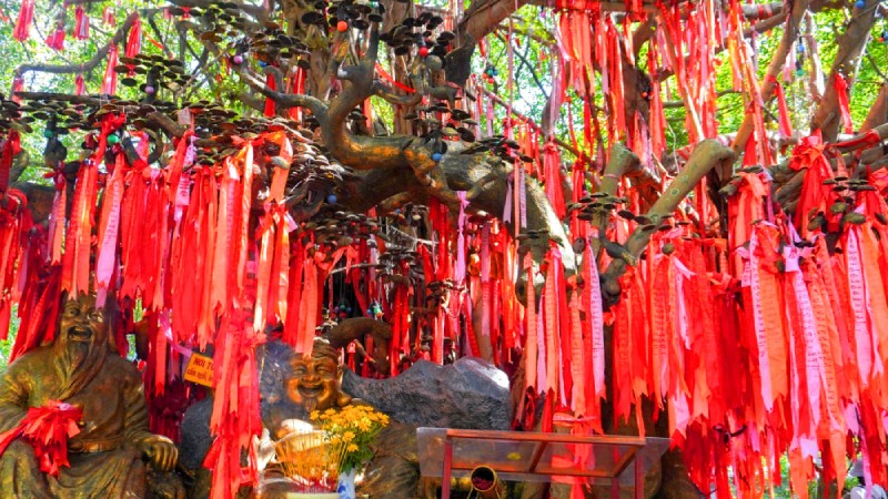 Cây ước nguyện và Đền Hùng thu hút du khách dịp Tết Nguyên Đán