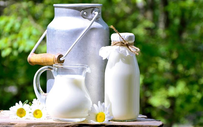 Bà bầu uống sữa tươi không đường loại nào là tốt?