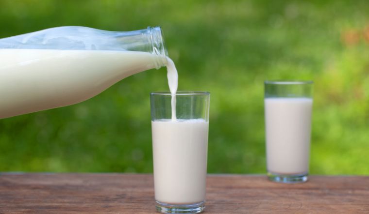 Bà bầu uống sữa tươi không đường được không?