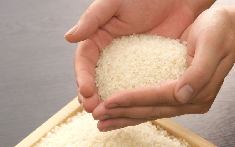 Giá gạo hôm nay 31/01