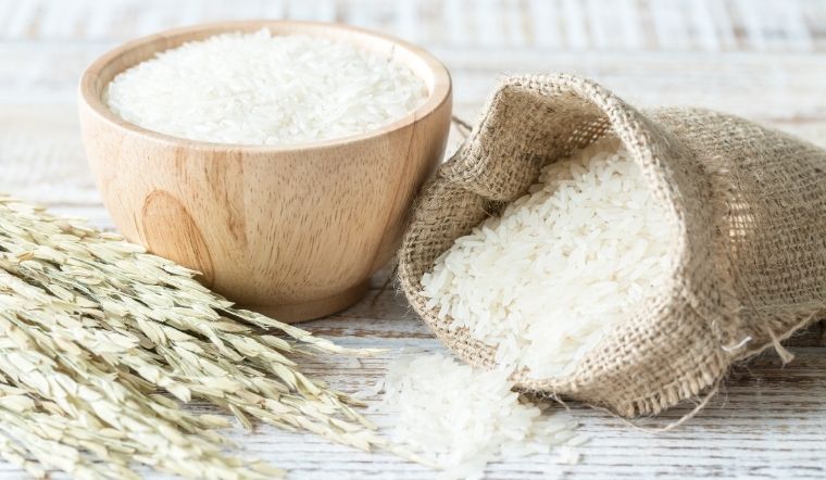 Giá lúa gạo hôm nay 03/02/2024: Duy trì ổn định