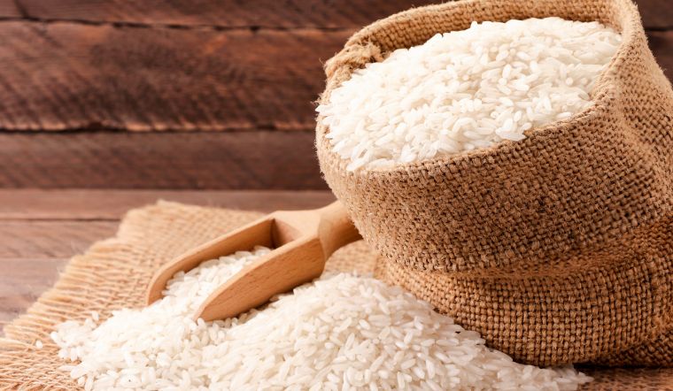 Giá lúa gạo hôm nay 15/02/2024: Nhiều giống lúa gạo thay đổi