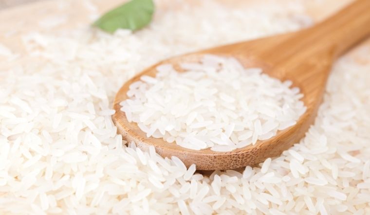 Giá lúa gạo hôm nay 16/02/2024: Vài giống lúa giảm giá