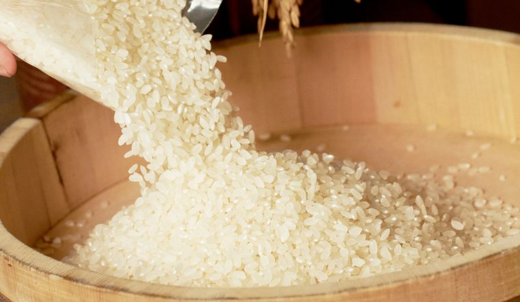 Giá lúa gạo hôm nay 17/02/2024: Không thay đổi