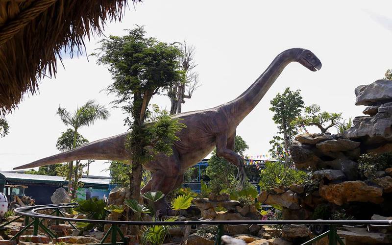 Giá vé vào công viên khủng long Ninh Bình là bao nhiêu?