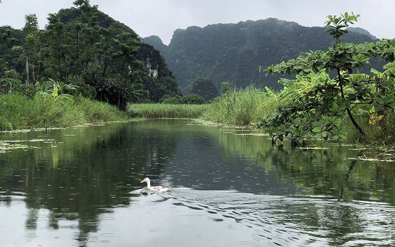 Thung Nắng, Ninh Bình ở đâu? Di chuyển đến Thung Nắng, Ninh Bình thế nào?