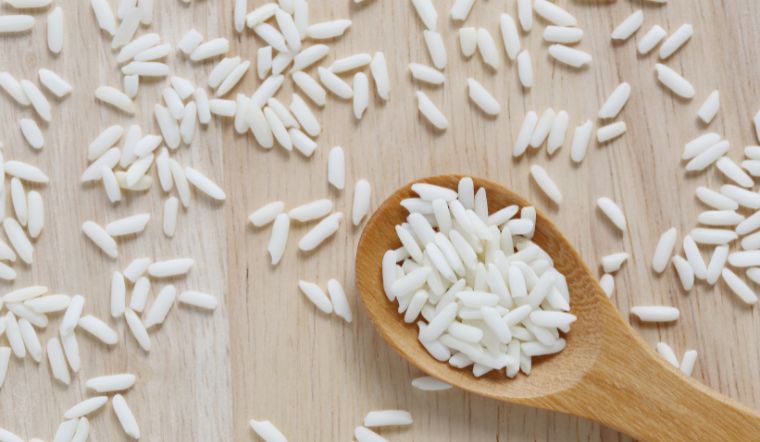 Giá lúa gạo hôm nay 20/02/2024: Đồng loạt giảm mạnh