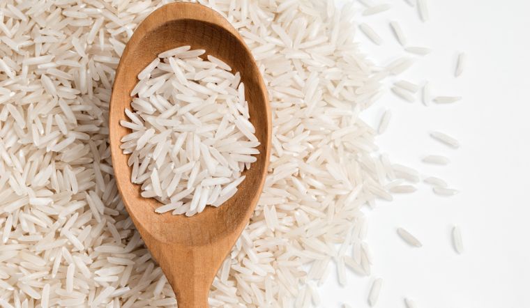 Giá lúa gạo hôm nay 22/02/2024: Giảm mạnh ở nhiều loại