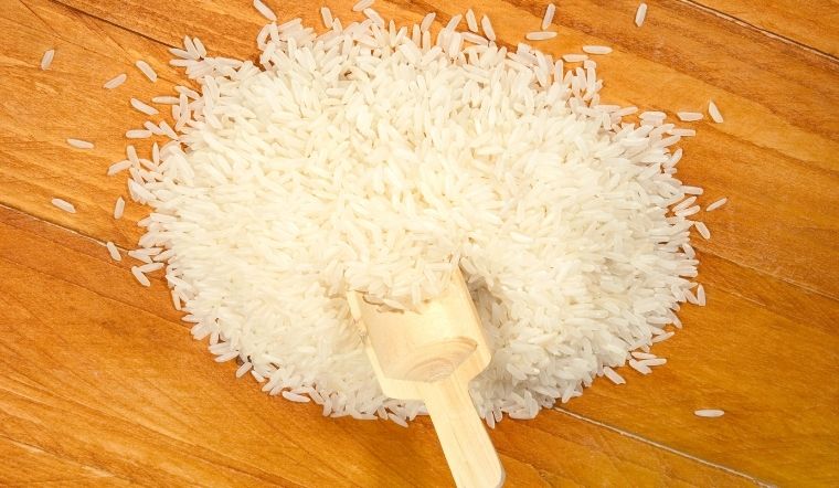 Giá lúa gạo hôm nay 24/02/2024: Tiếp tục chững giá