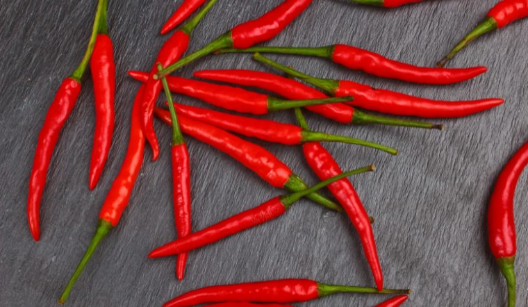 Giá ớt hôm nay 24/02/2024: Giảm 1.000 - 2.000 đồng/kg cuối tuần