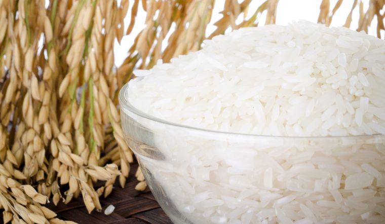 Giá lúa gạo hôm nay 27/02/2024: Giá lúa có nhiều biến động