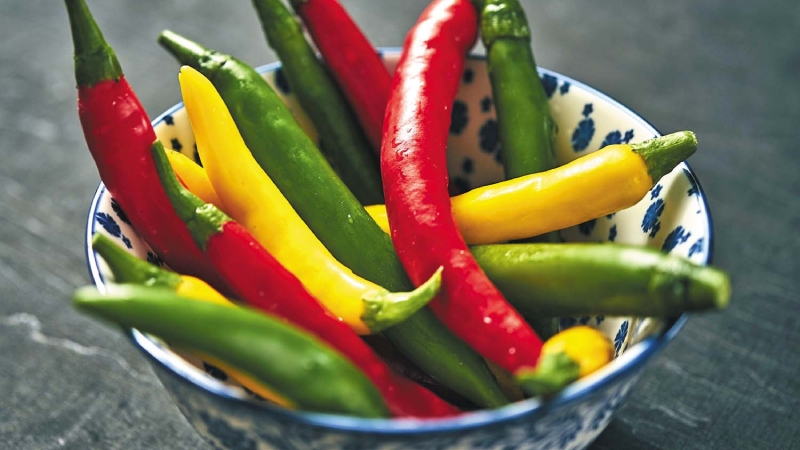 Giá ớt hôm nay 28/02/2024 cập nhật mới nhất