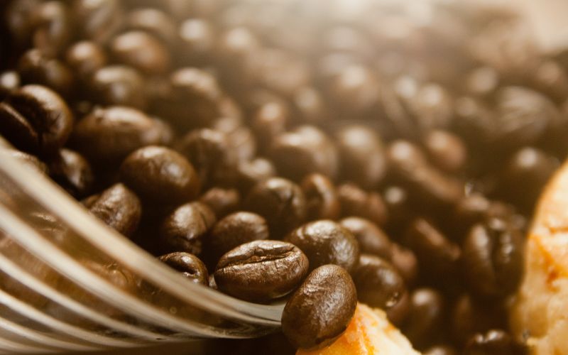 Giá cà phê trong nước hôm nay