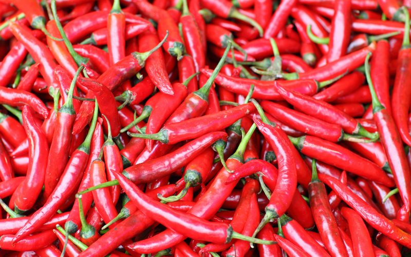 Giá ớt hôm nay 01/03/2024 mới nhất