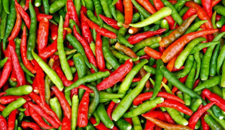 Giá ớt hôm nay 05/03/2024: Thêm 1 ngày đi ngang