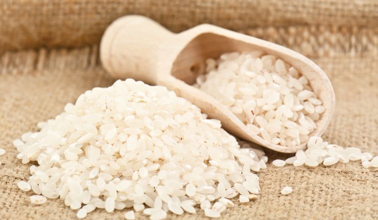 Giá lúa gạo hôm nay 05/3/2024: Biến động nhẹ