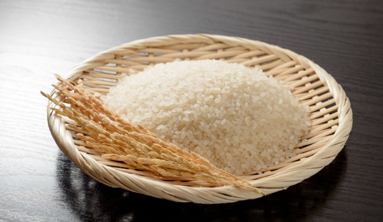 Giá lúa gạo hôm nay 06/3/2024: Không có thay đổi