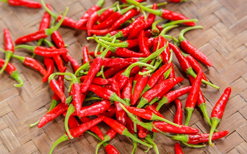 Giá ớt hôm nay 06/03/2024 mới nhất