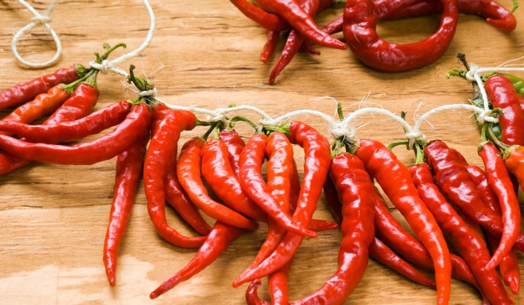 Giá ớt hôm nay 06/03/2024: Tương tự hôm qua