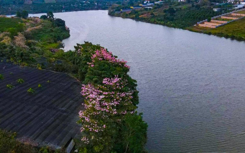 Hồ Nam Phương tọa lạc cách trung tâm thành phố Bảo Lộc khoảng 2km về phía Bắc