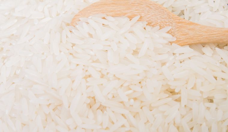 Giá lúa gạo hôm nay 08/3/2024: Không có biến động