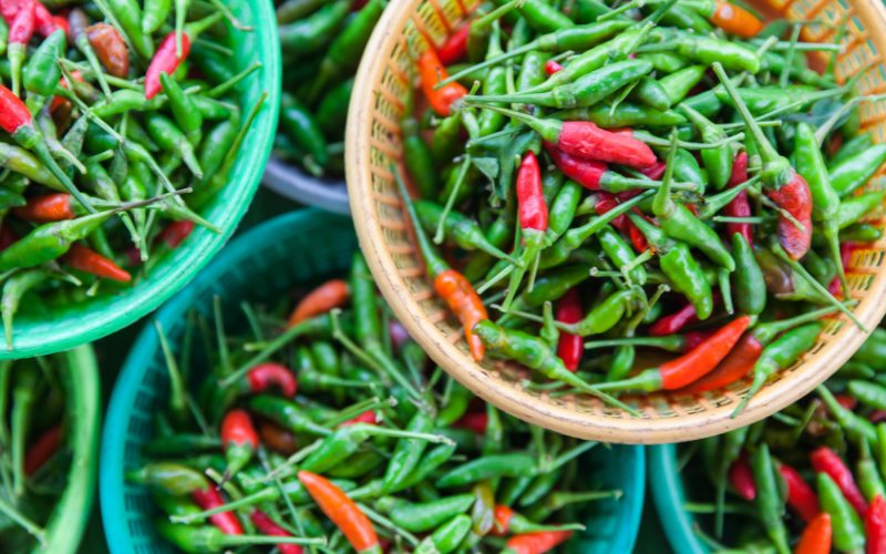 Giá ớt hôm nay 09/03/2024 mới nhất