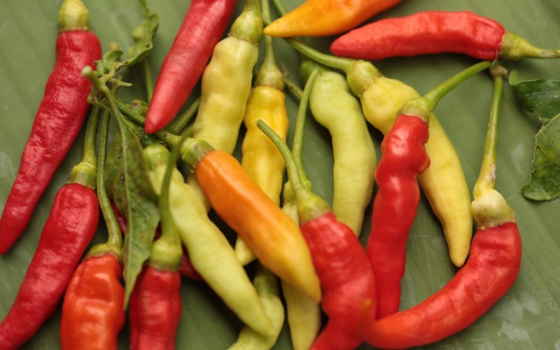 Giá ớt hôm nay 09/03/2024