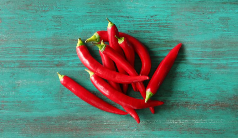 Giá ớt hôm nay 09/03/2024: Bình ổn cuối tuần