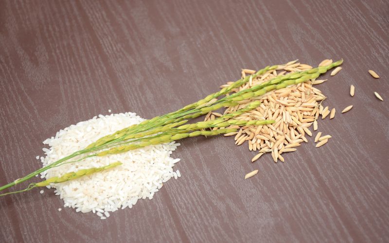 Giá gạo hôm nay 12/3