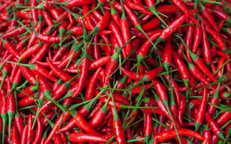 Giá ớt hôm nay 12/03/2024 mới nhất