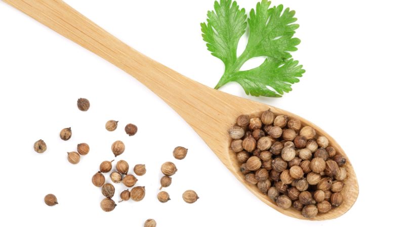 Giá tiêu hôm nay 14/03/2024 trong nước Giá tiêu hôm nay 14/03/2024 trong nước