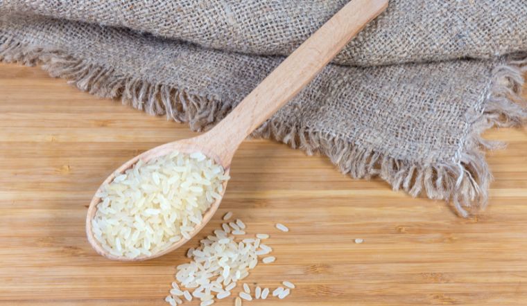 Giá lúa gạo hôm nay 14/3/2024: Không có thay đổi