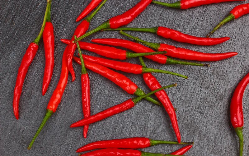 Giá ớt hôm nay 15/03/2024 mới nhất