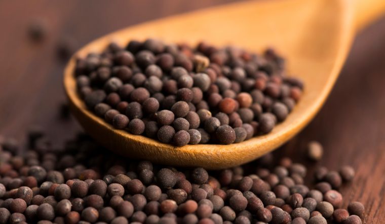 Giá tiêu hôm nay 16/03/2024: Đồng loạt tăng 500 đồng/kg