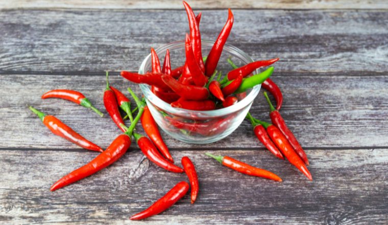 Giá ớt hôm nay 16/03/2024: Giữ khoảng giá cũ cuối tuần